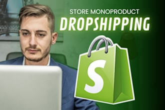 build a professional dropshipping store