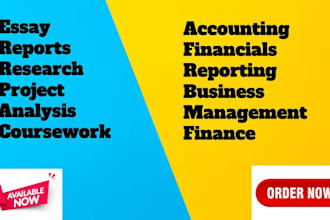 do accounting and finance tasks using excel spreadsheet