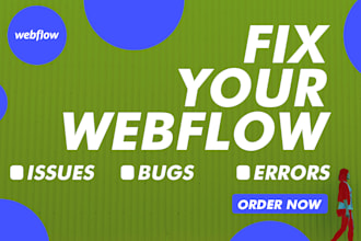 fix bugs from your webflow website and webflow landing page