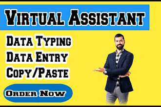 be your expert virtual assistant for data entry and data typing