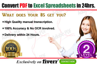 convert PDF to spreadsheets precisely in 24hrs