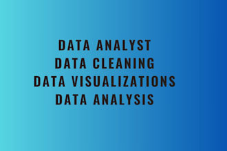 do statistical data analysis, excel, tableau, r studio
