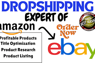 do amazon walmart to ebay dropshipping store top listings product SEO