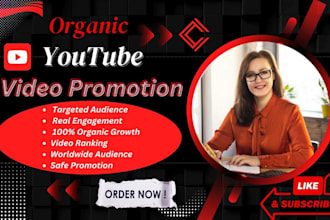 do professional and organic youtube video promotion to gain views