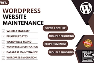 do professional wordpress support, maintenance and website updates