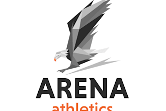 design professional mascot, sports, and esports logo