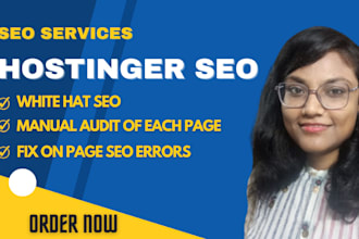 do SEO optimization for hostinger website