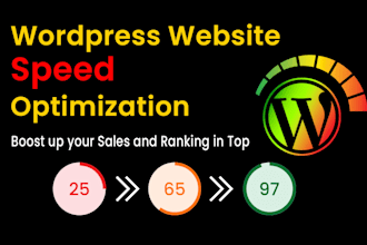 do wordpress speed optimization for google page speed insigh