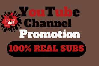 provide organic youtube channel watch, subs for monetization