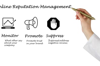 provide online reputation management ORM services to remove negative links