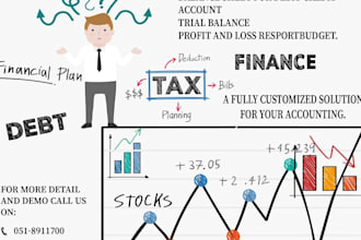 provide accounting solutions by odoo