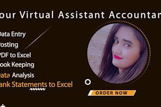 do bookkeeping work like excel data entry, analysis and posting on leap