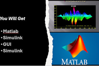 do matlab, simulink, gui and signal processing projects