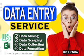 do best data entry job and web research, data mining