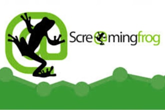 scan your entire website using screaming frog SEO spider and make a report