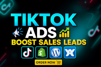 tiktok ads manager, setup and manage your tiktok ads campaign, tiktok video ads