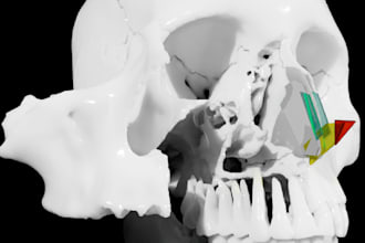create 3d models for anatomy and healthcare projects