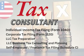 do us tax filing, US tax returns, llc tax, business tax 1120 5472 1040 cpa