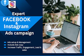 setup facebook and instagram ads compaign, marketing advertising and ads manager