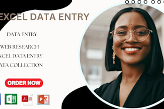 do excel data entry copy paste typing data collection web research