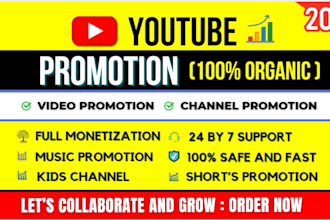 do fast organic youtube video promotion and channel promotion for monetization
