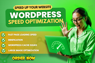 wordpress speed optimization and higher google pagespeed scores
