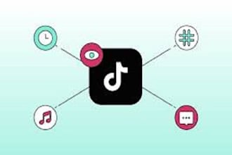 do organic tiktok video promotion to increase views and followers