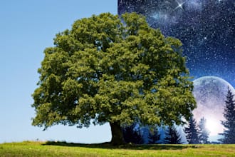 change the background of images