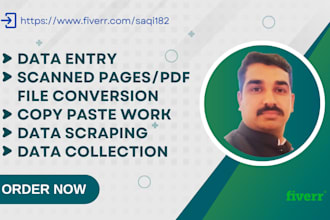 convert PDF to word, PDF to excel, copy paste, and data entry