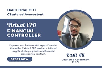 be your financial controller, virtual cfo,and fractional cfo