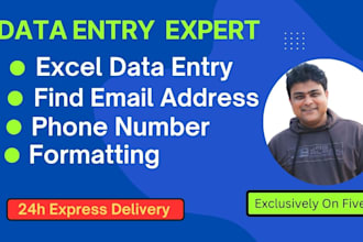 do excel data entry, find email address, phone number and formatting