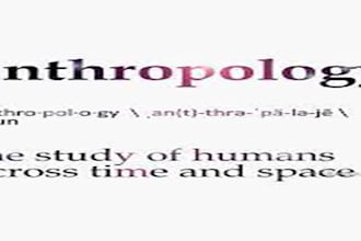 do criminology, sociology, psychology, anthropology and  history