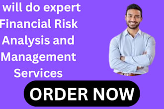 do expert financial risk analysis and management services