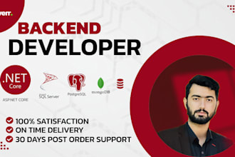 be your backend asp dot net core developer with mvc, web API, rest API
