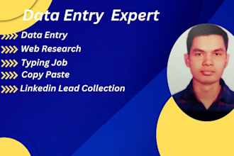 provide accurate data entry, web research, and google map scrapping