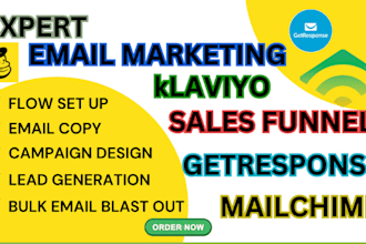 run, setup and manage campaign newsletter autoresponder klaviyo email marketing