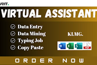 do data entry cleaning analysis, excel, word, PPT