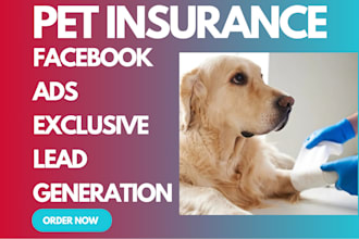 design user centric pet insurance website pet health insurance to generate leads