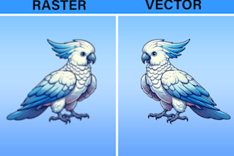 professional vector tracing or  raster to vector conversion