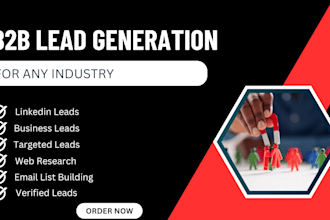 provide linkedin leads and b2b leads generation targeted lead