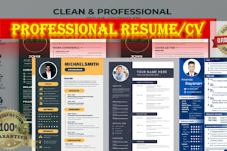 professional resume writing service, CV making, federal resume, resume design