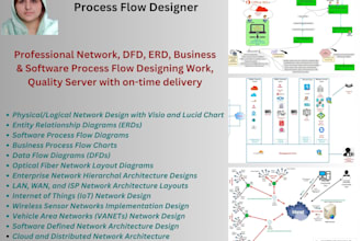design network diagrams, dfds, erds, process flows using visio and lucid chart