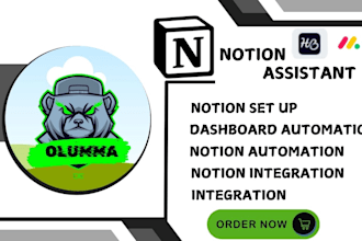 notion template, notion, notion expert, notion template