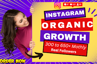 promote fast instagram organic growth strategy engagement and visibility