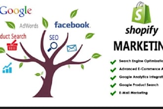 run facebook ads for shopify store marketing klaviyo sales funnel and pinterest