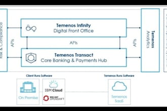 assist in infrastructure setup of temenos products