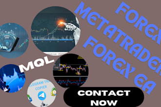 code expert advisor trading bots for metatrader in meta quote language