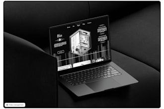 create and build a professional ecommerce website