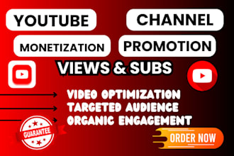 promote USA youtube video USA video marketing channel promotion