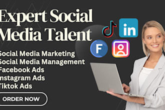 social media marketing, smm, facebook ads, tiktok ad, instagram ads social media